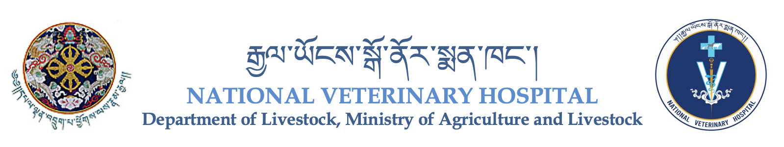 National Veterinary Hospital